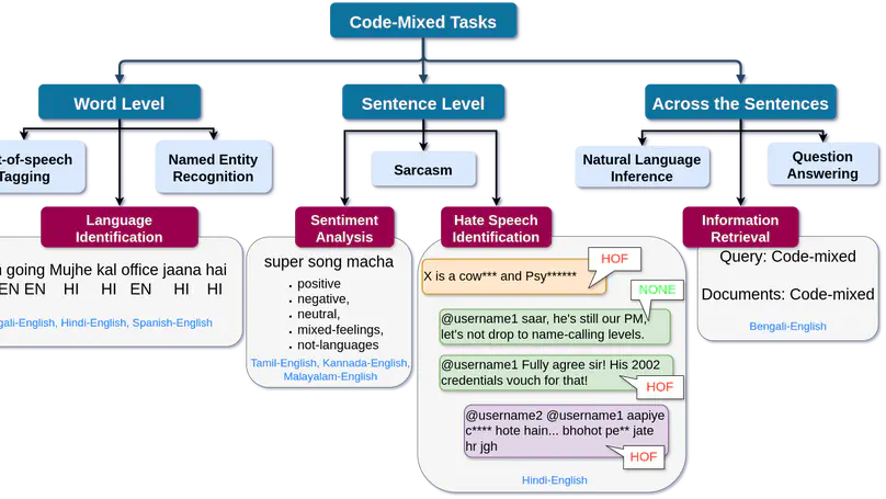 Text Processing on Code-Mixed Social Media Data